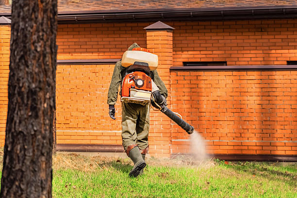 Bed Bug Clearance Verification and Documentation in Drain